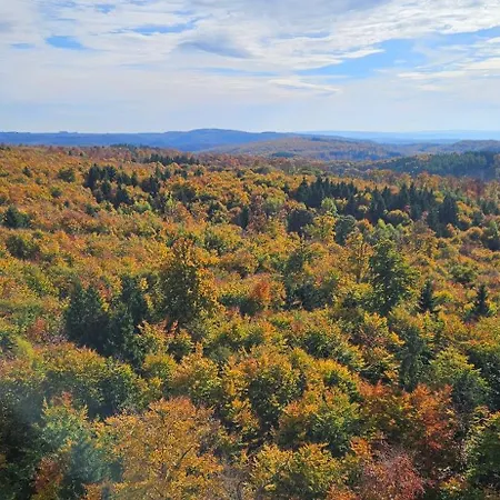 Herman Grote- Harz Lejlighed Braunlage