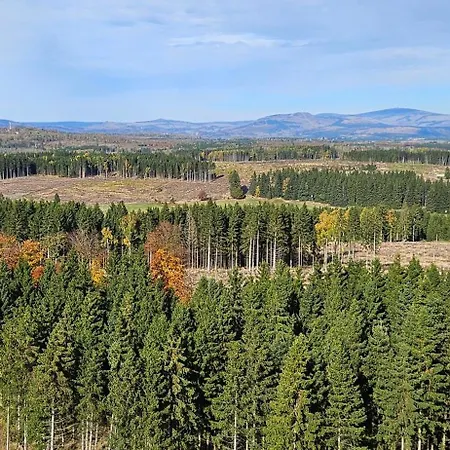Apartment Herman Grote- Harz *