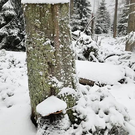 Herman Grote- Harz Lejlighed Braunlage