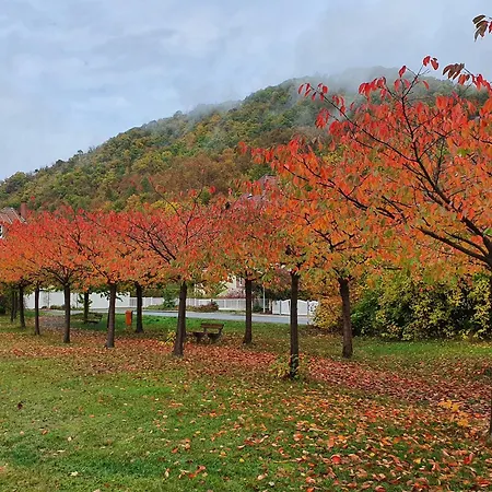 Herman Grote- Harz * Braunlage