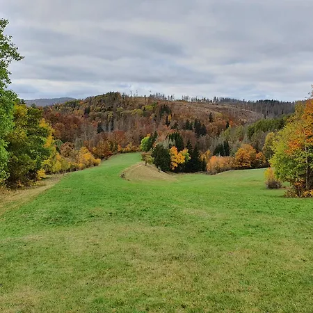 Herman Grote- Harz *