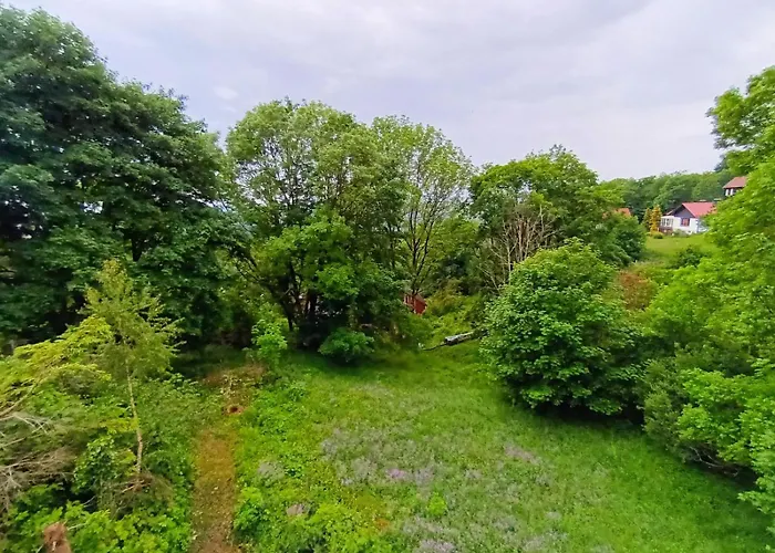 Herman Grote- Harz * 布劳恩拉格