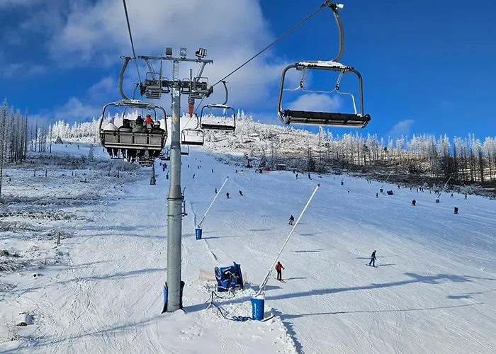 Herman Grote- Harz * 布劳恩拉格