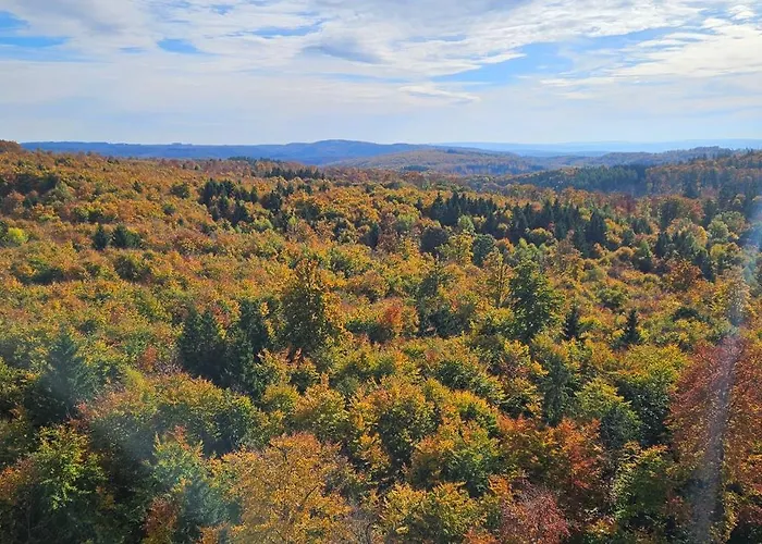 Herman Grote- Harz 公寓 布劳恩拉格