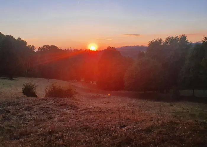 公寓 Herman Grote- Harz 布劳恩拉格